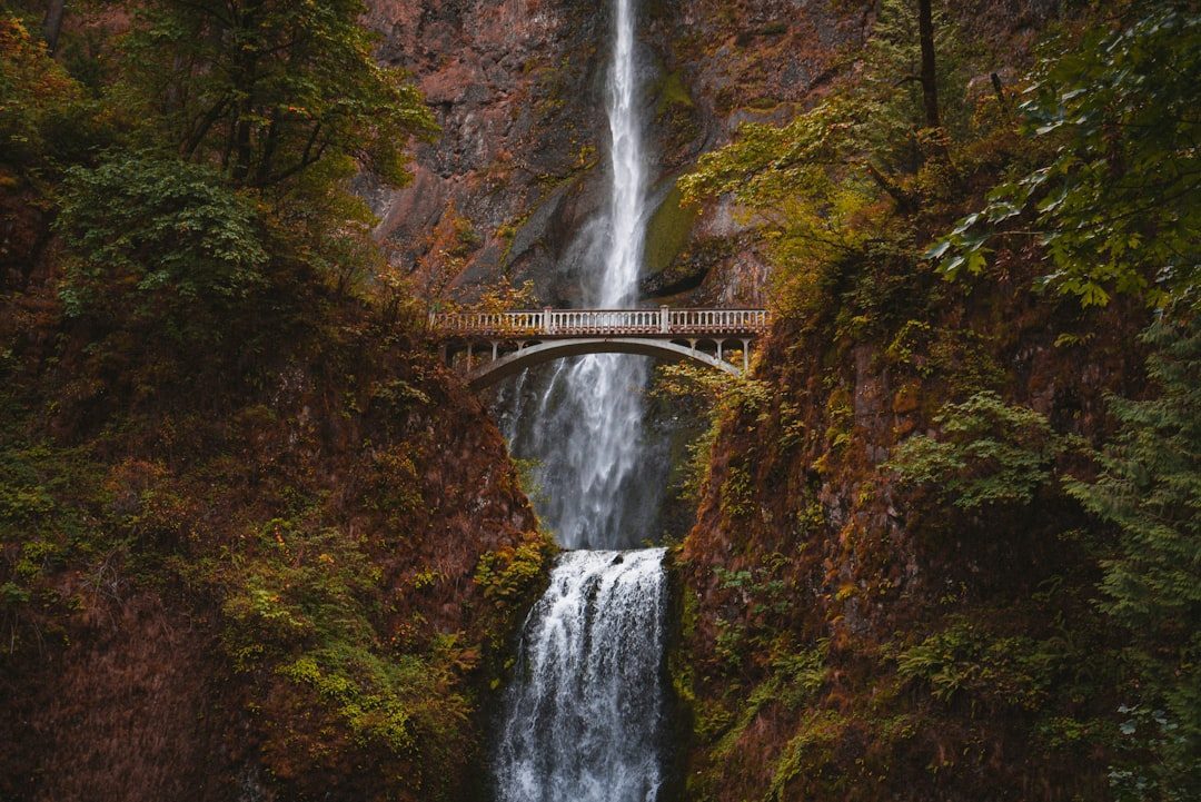 Multnomah Falls, Oregon (Image Credits: Unsplash)