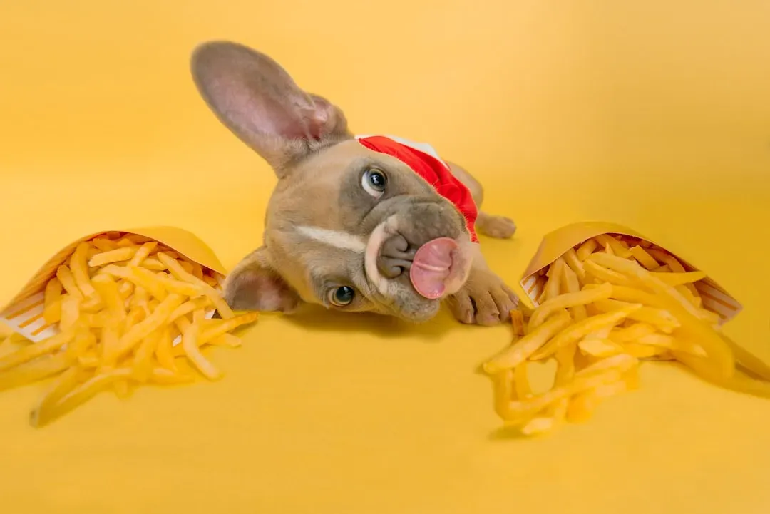 #10 Poor Nutrition and Dietary Issues (Image Credits: Unsplash)
