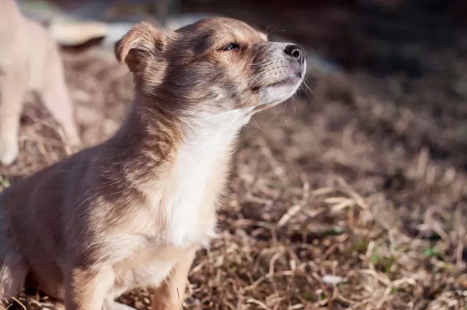 The Science Behind Synchronized Breathing (Image Credits: Pexels)
