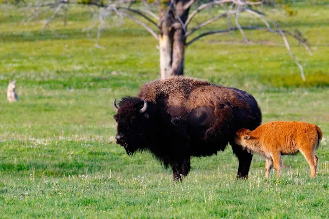 Conclusion: Finding Your Sacred Match (Image Credits: Unsplash)