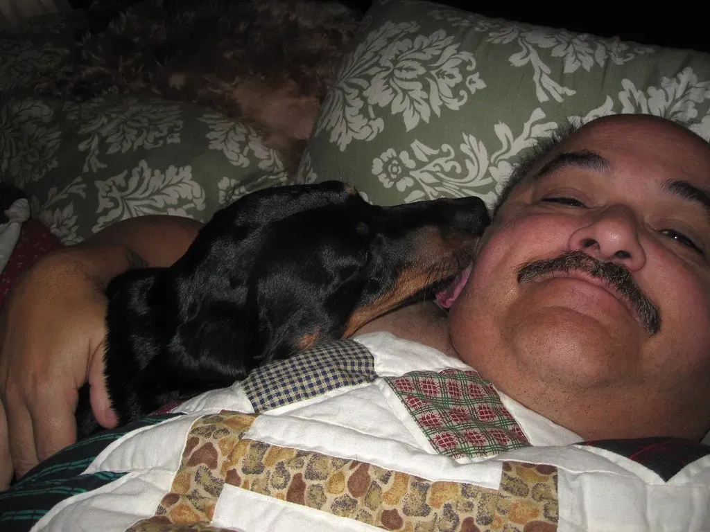 A Sign of Affection and Bonding (Tobyotter, Flickr, CC BY 2.0)