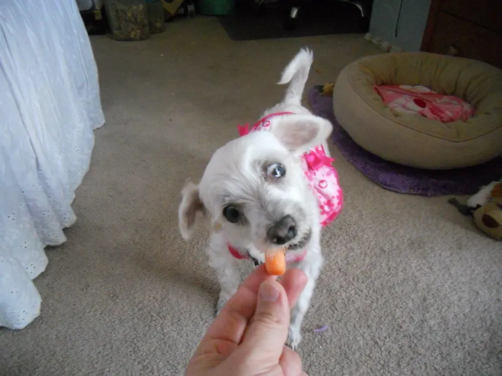 The Right Way to Prepare Them (Image Credits: Flickr)