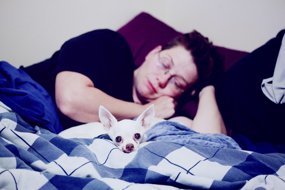 Creating Comfort in Their Golden Years (Image Credits: Unsplash)