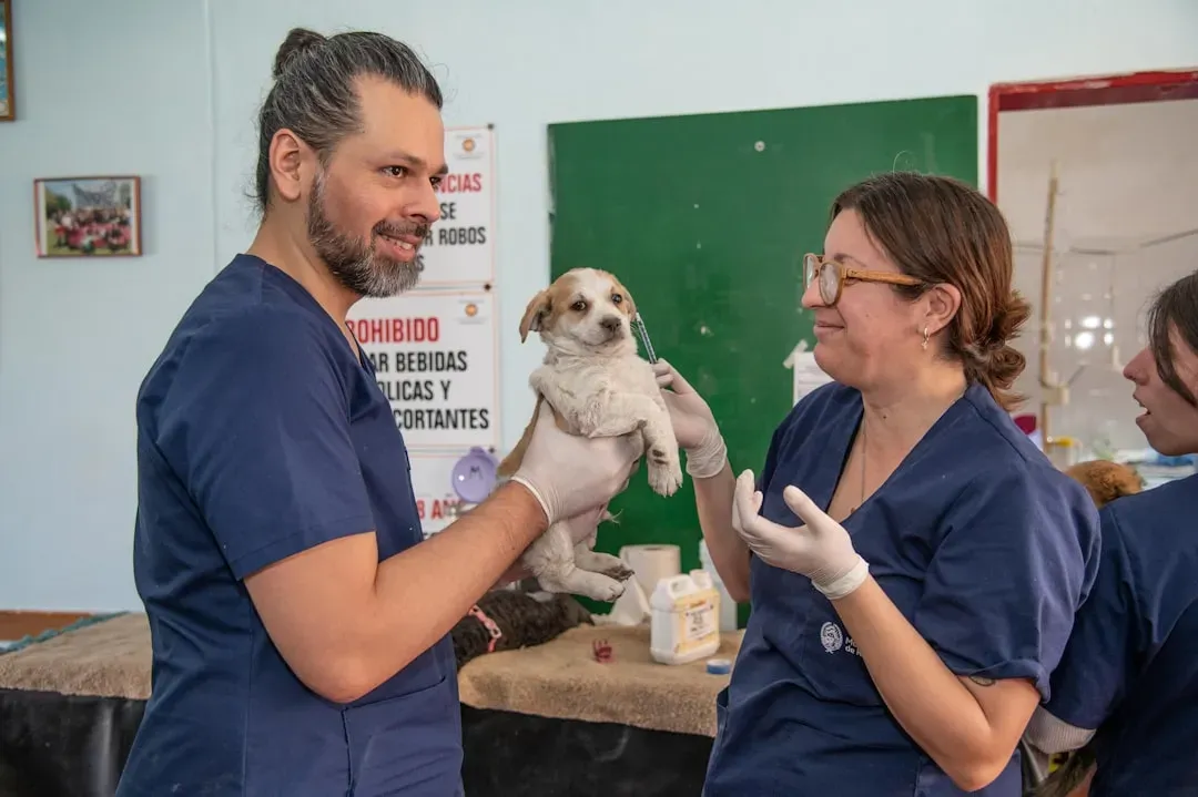5. Skipping Vet Visits Because “They Seem Fine” (Image Credits: Unsplash)