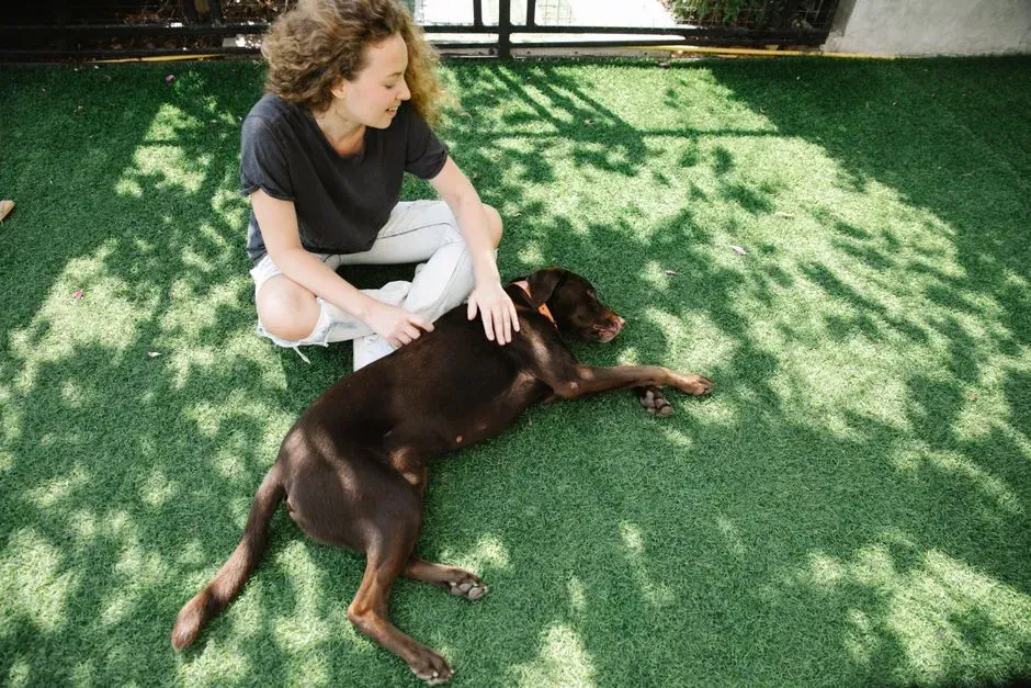 Libra: The Harmonizer Dog That Keeps The Vibes Soft (Image Credits: Pexels)