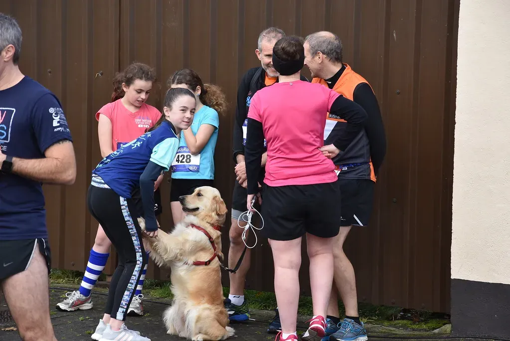 The Words of Affirmation Responder (Image Credits: Flickr)