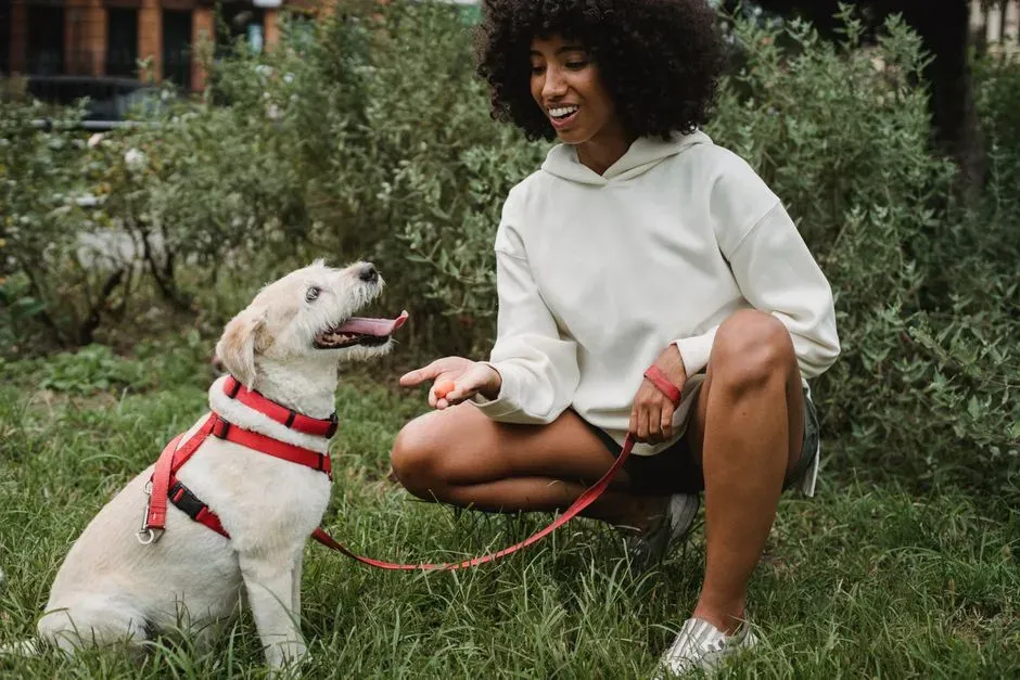 4. Use Positive Reinforcement, Not Punishment (Image Credits: Pexels)