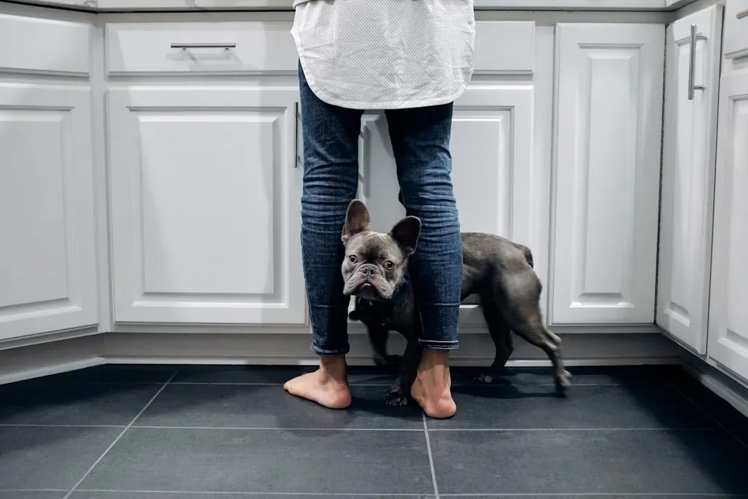 3. The Lean, The Nudge, And The Full-Body Melt (Image Credits: Unsplash)