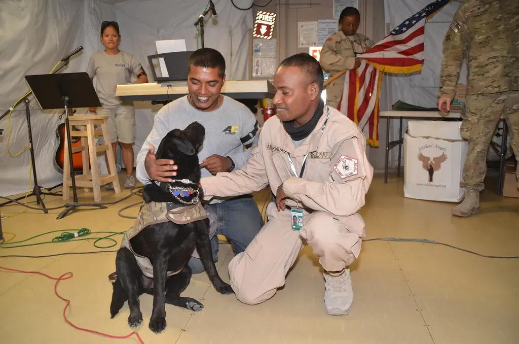 4. Move Slowly with New People, Animals, and Experiences (401st_AFSB, Flickr, CC BY 2.0)