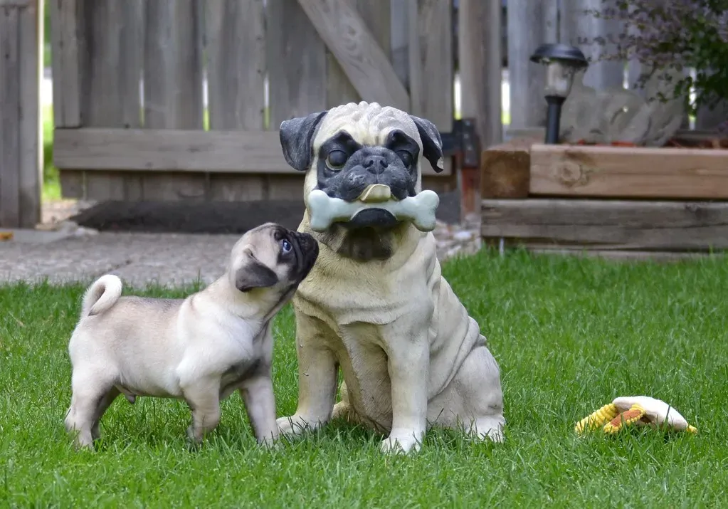 They Check In on You Constantly (Image Credits: Flickr)