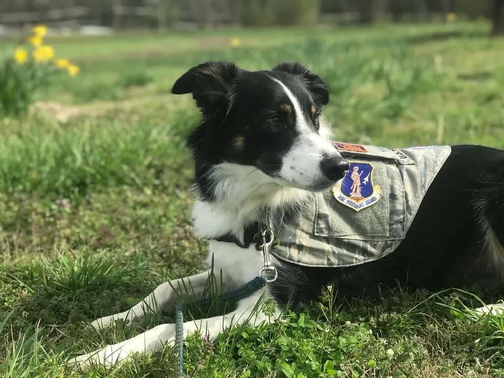 Presence Is the Most Generous Gift You Can Give (The National Guard, Flickr, CC BY 2.0)