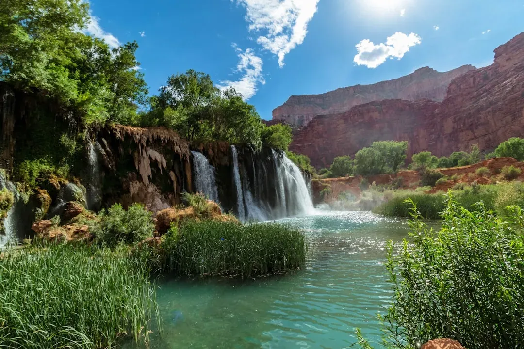 Havasu Falls: The Jewel of the Grand Canyon (Image Credits: Unsplash)