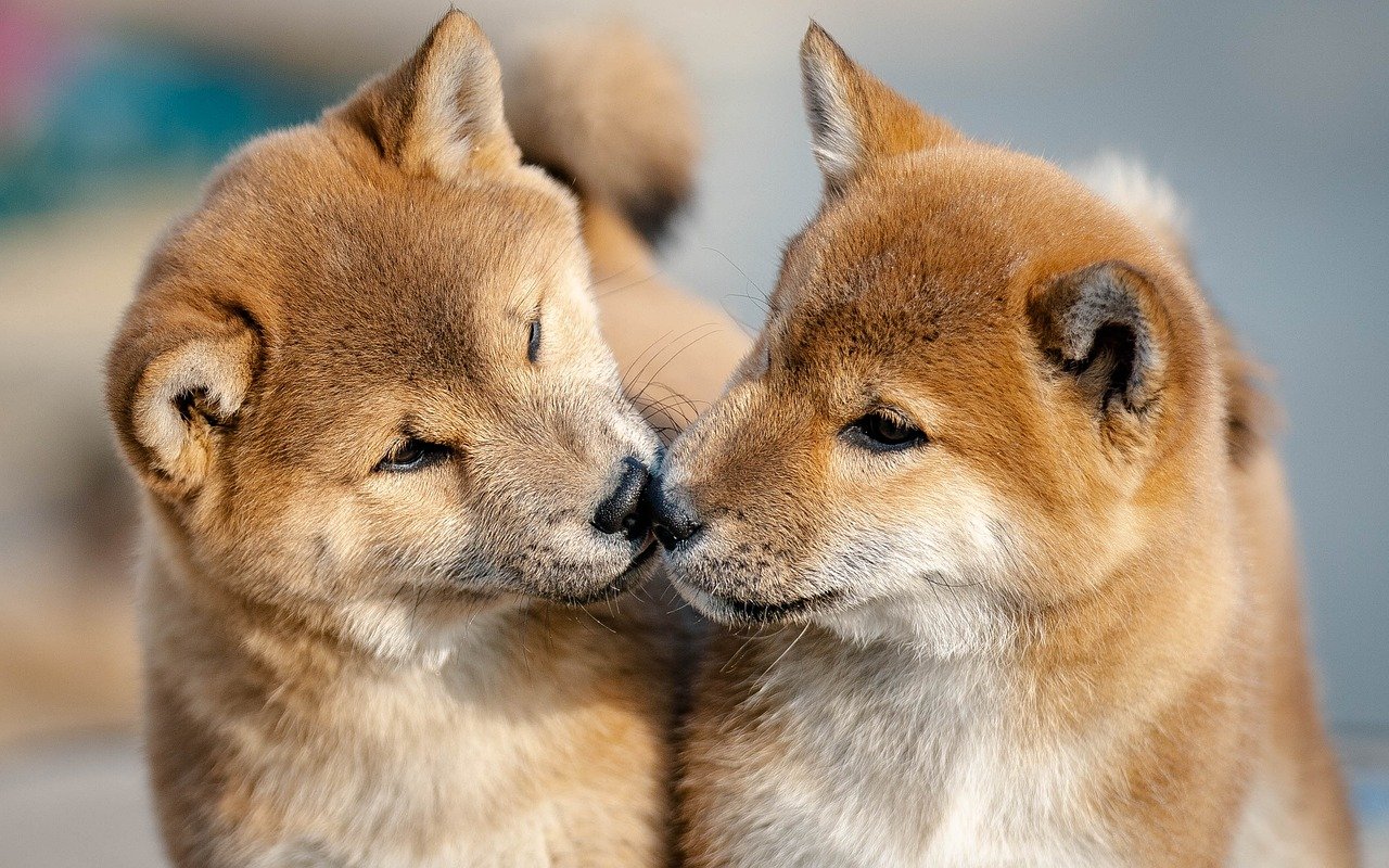 Understanding Normal vs. Abnormal Changes (Image Credits: Pixabay)