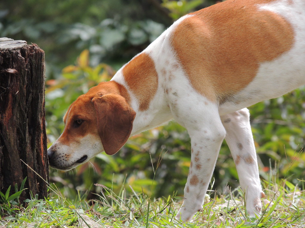 Your Intuition Becomes Remarkably Stronger (Image Credits: Flickr)