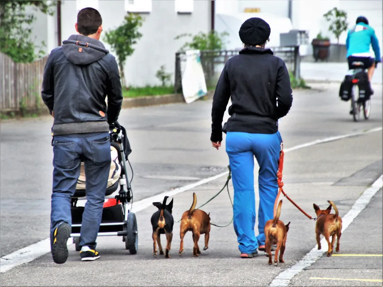 #1 - The "Only-For-You" Morning Greeting (Image Credits: Pixabay)