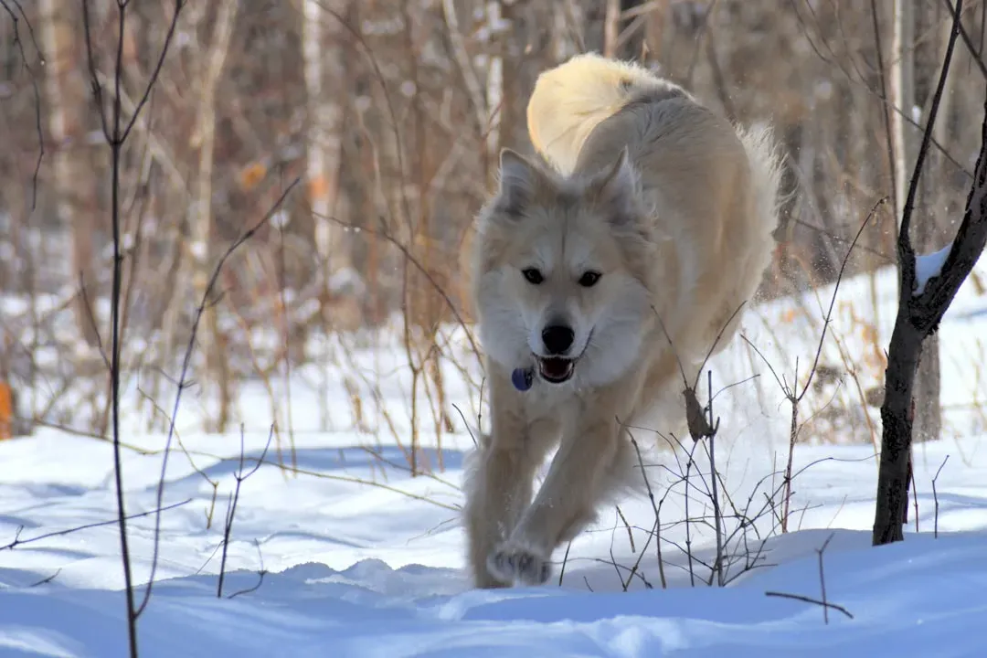 7. Respecting Their Boundaries Shows True Love (Image Credits: Unsplash)