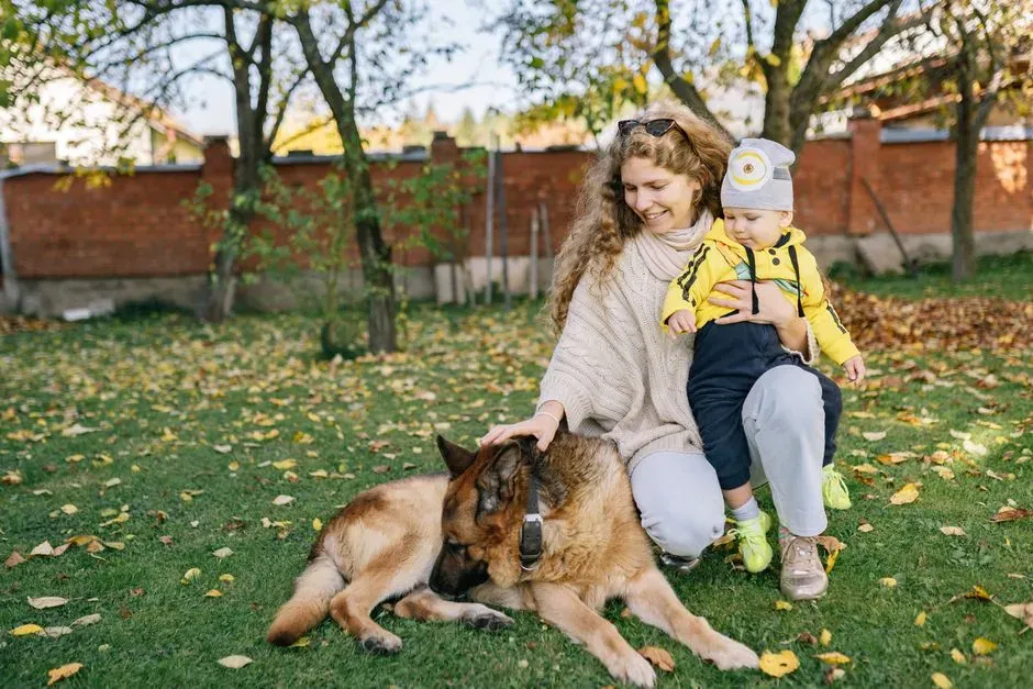#21 - Adjusting Their Entire Social Life Around the Dog's Needs (Image Credits: Pexels)