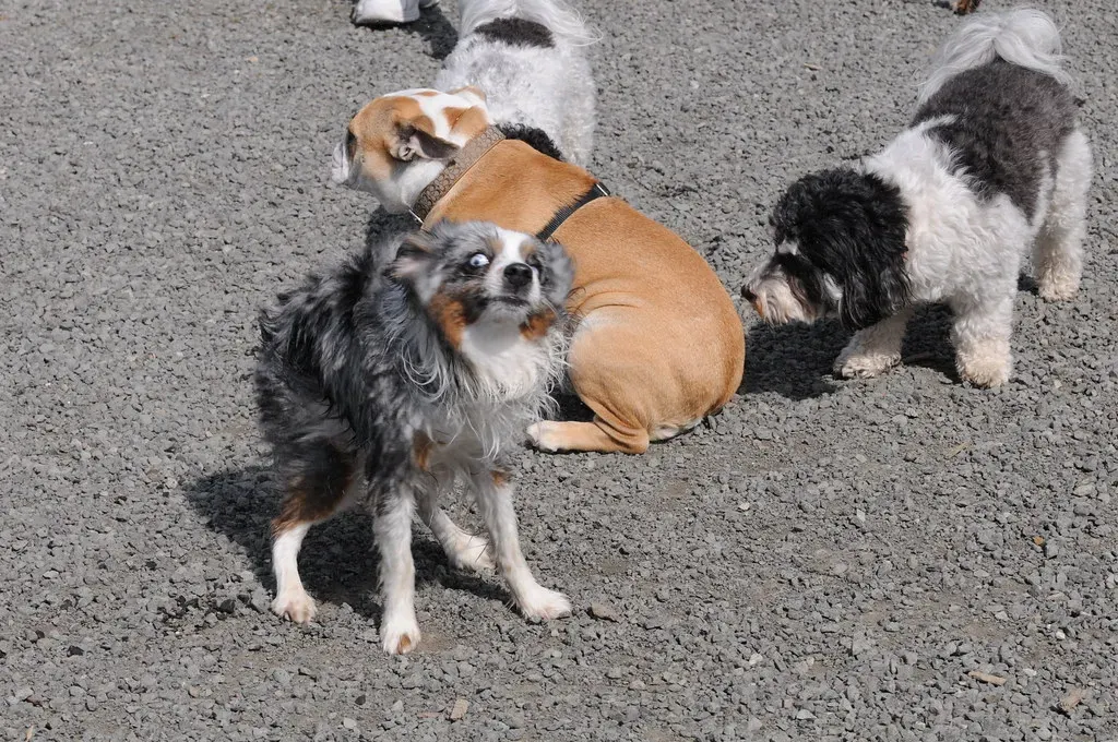 The Role of Personality and Past Experiences (Image Credits: Flickr)