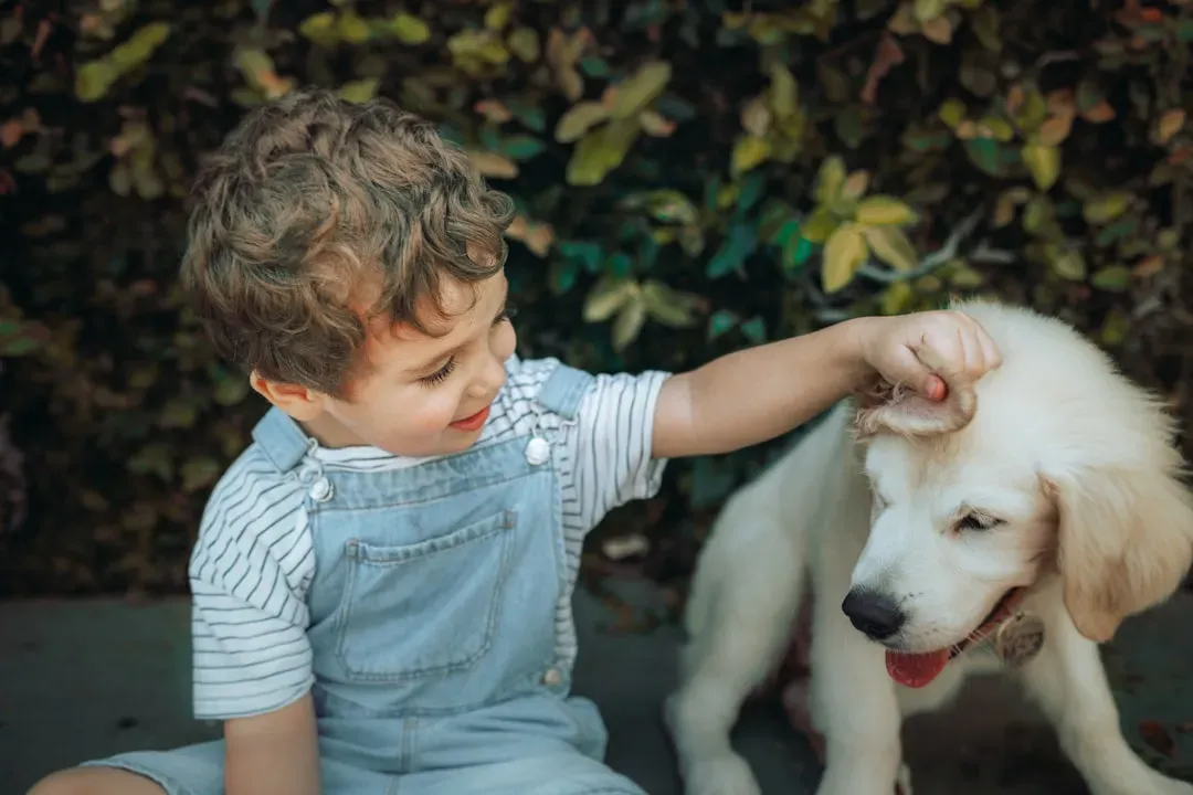 They Sync Their Routines Entirely Around Yours (Image Credits: Unsplash)