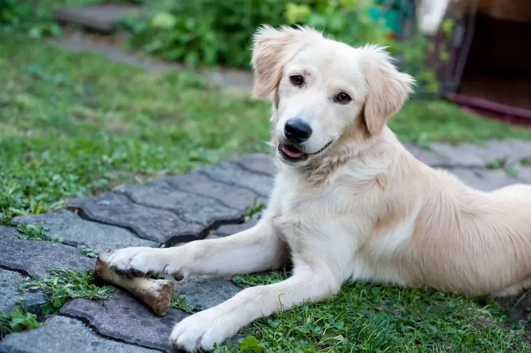 8. Vitamin D3: The Calcium Activator and Bone Supporter (Image Credits: Unsplash)