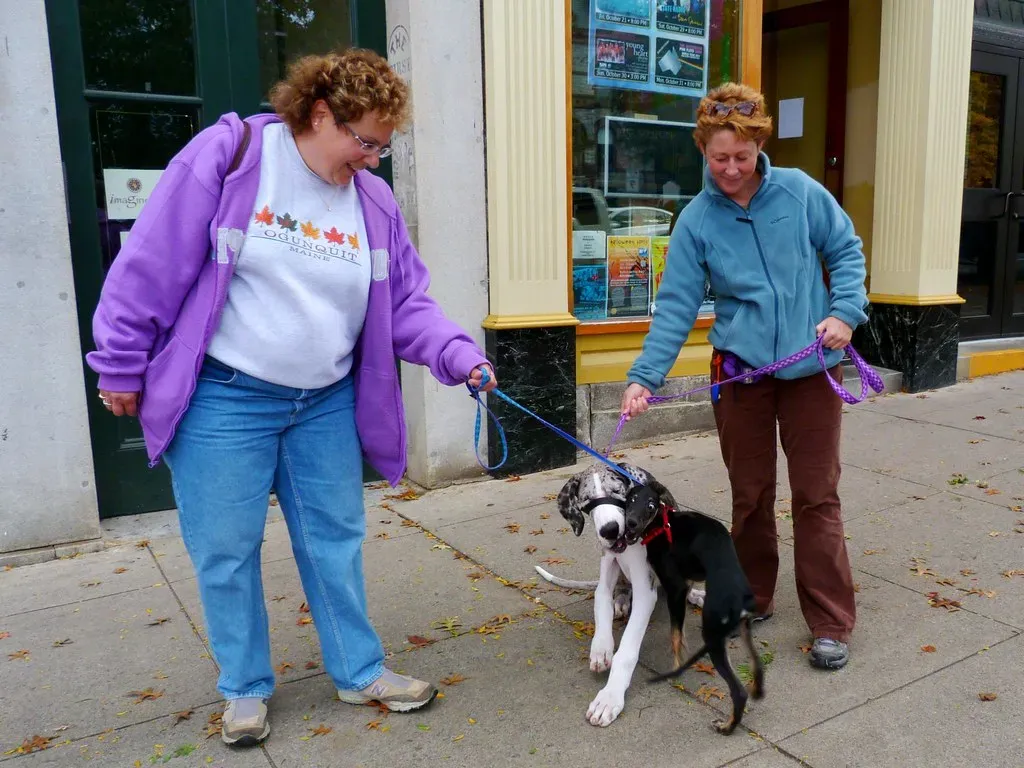 #14 - Letting the Leash Turn Into a Tangled Trap (Rusty Clark ~ 100K Photos, Flickr, CC BY 2.0)
