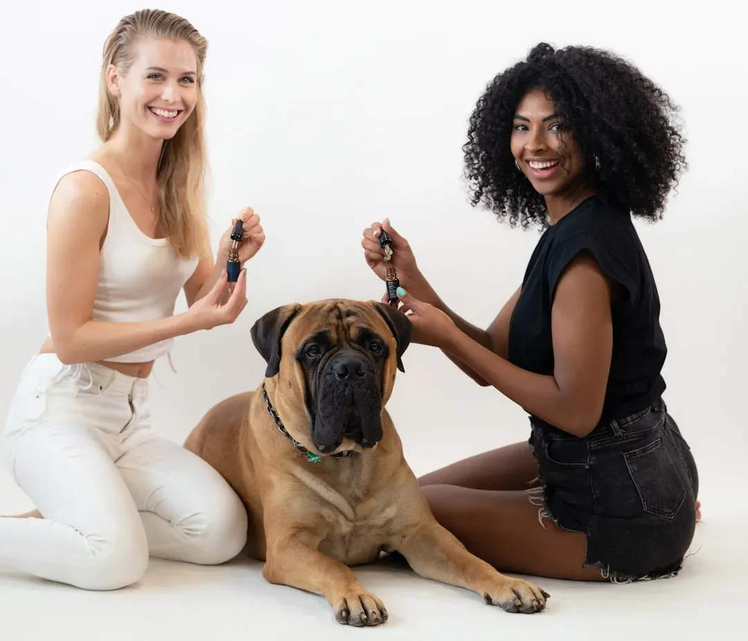 #1 - How Often the Dog Actually Gets Walked (Image Credits: Unsplash)
