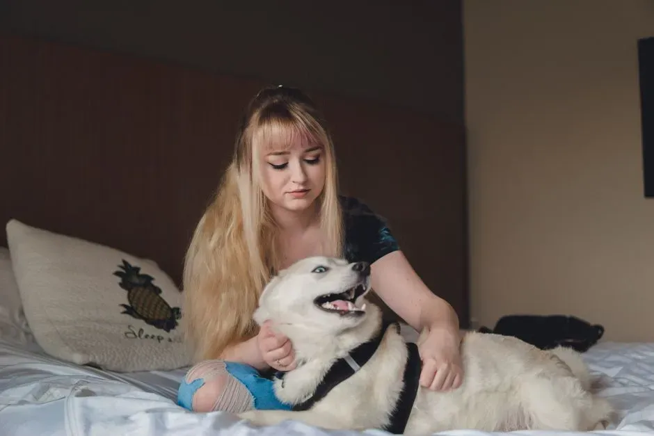 Libra Values Harmony That a Strong Willed Husky Disrupts (Image Credits: Pexels)