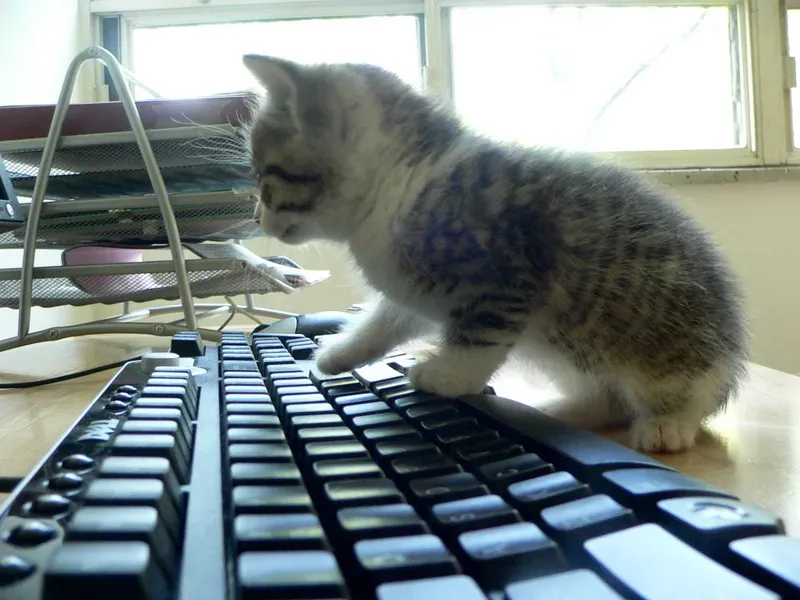 1. Interrupting Your Activities (By slava, CC BY 2.0)