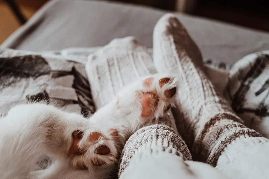 Seeking Optimal Temperature Zones (Image Credits: Unsplash)