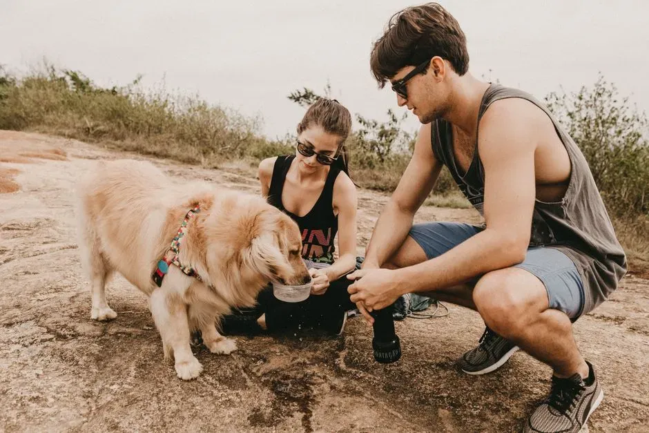 Virgo: The Practical Caregiver Who Secretly Loves Being Inconvenienced (Image Credits: Pexels)