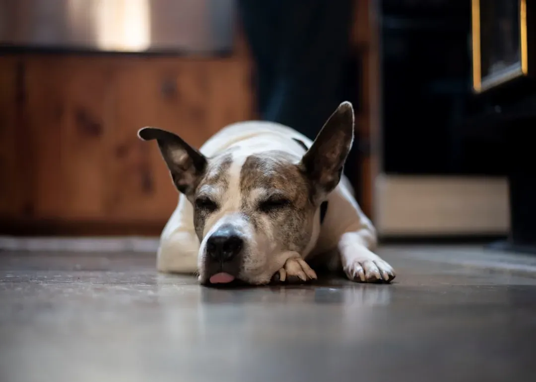 Comfort and Personal Space Needs (Image Credits: Unsplash)