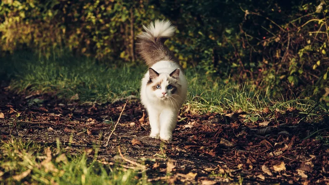 #10. The Calculated Pause Before Acting (Image Credits: Unsplash)