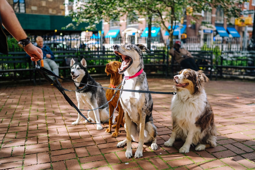 The Pack Mentality Factor (Image Credits: Unsplash)