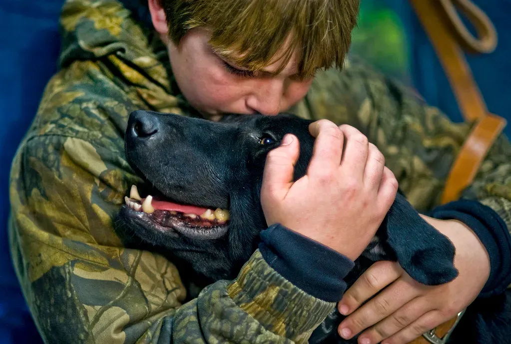 Labrador Retriever: The Happy Shadow You Can’t Shake (Image Credits: Flickr)