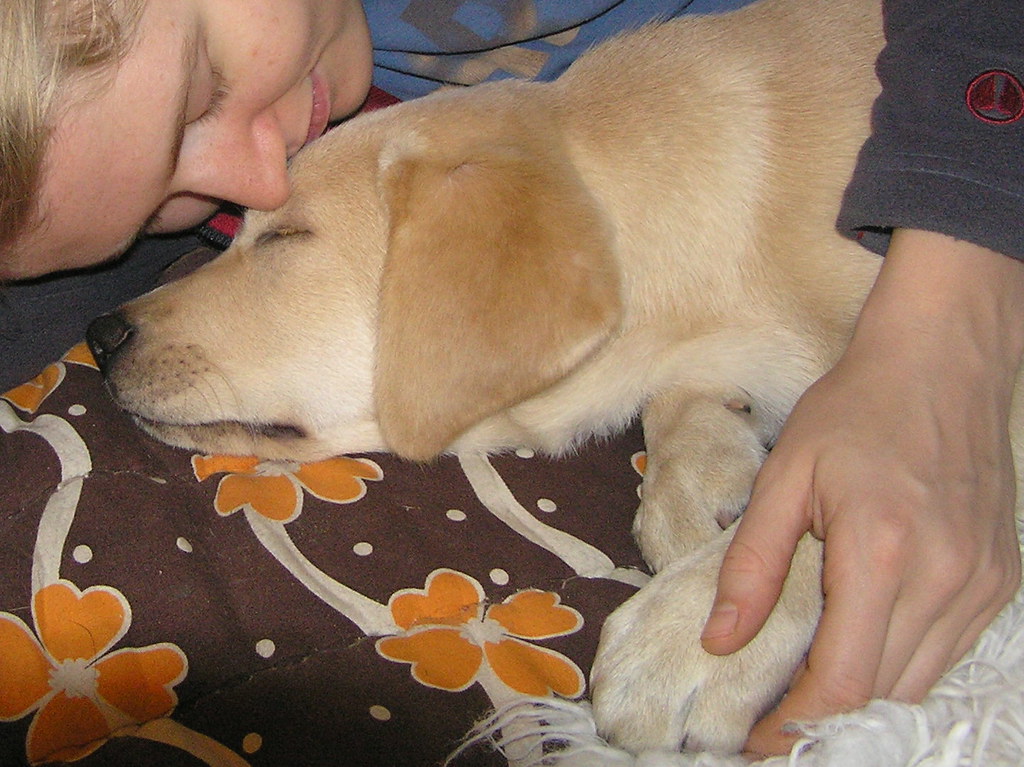 The Sniff Test for Emotions (Image Credits: Flickr)