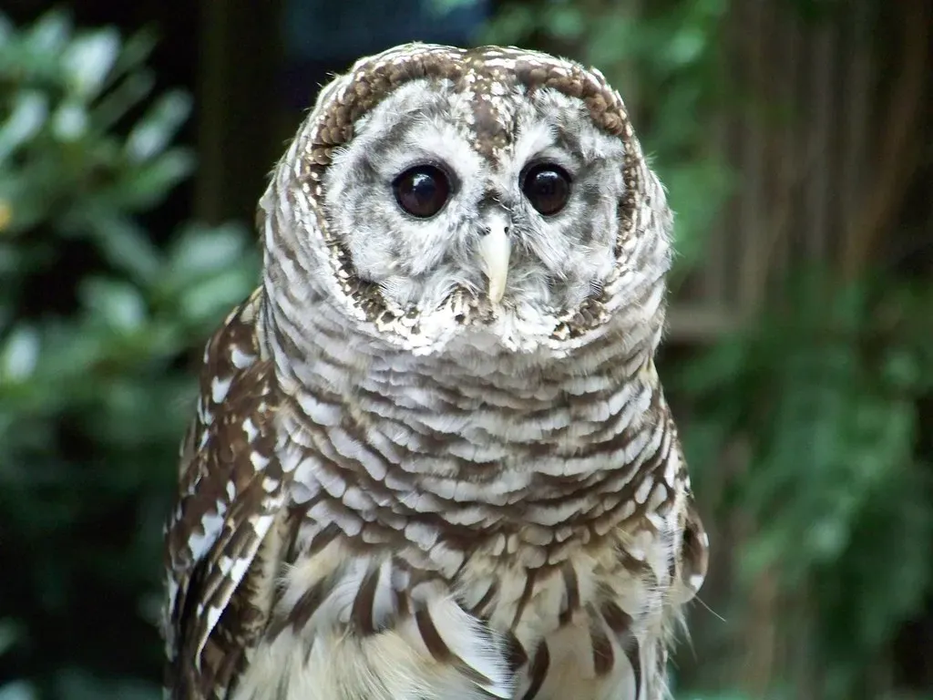 Conclusion (Image Credits: Flickr)