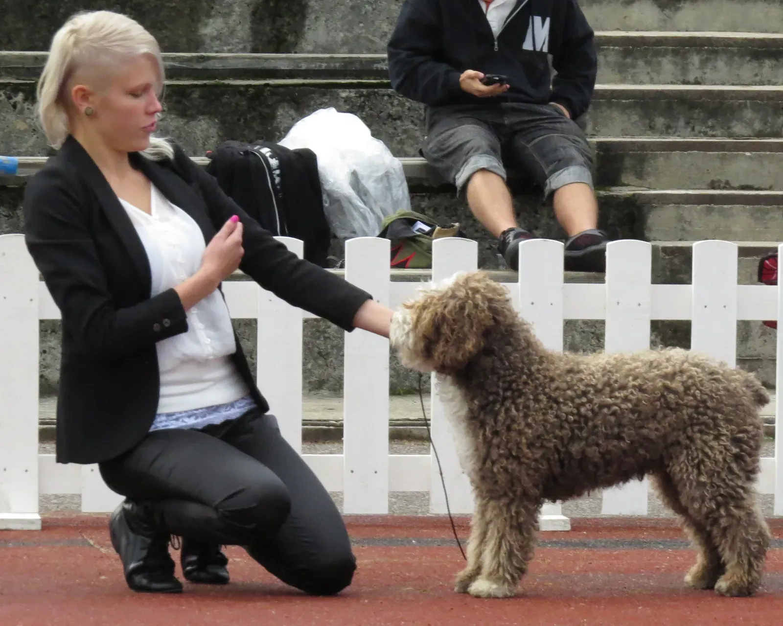 Practice Handling at Home (Image Credits: Wikimedia)