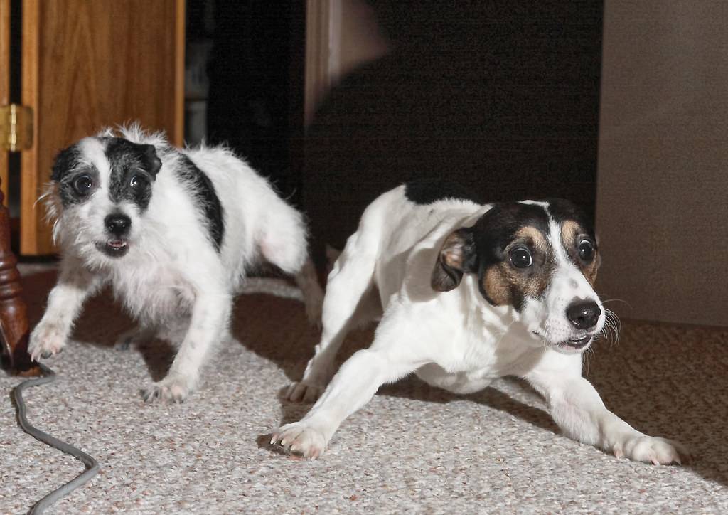 Understanding Triggers and Associations (Image Credits: Flickr)