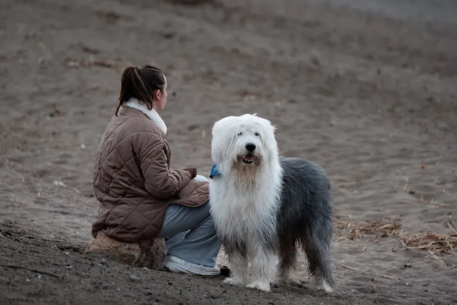 #10. Old English Sheepdog (Image Credits: Pexels)