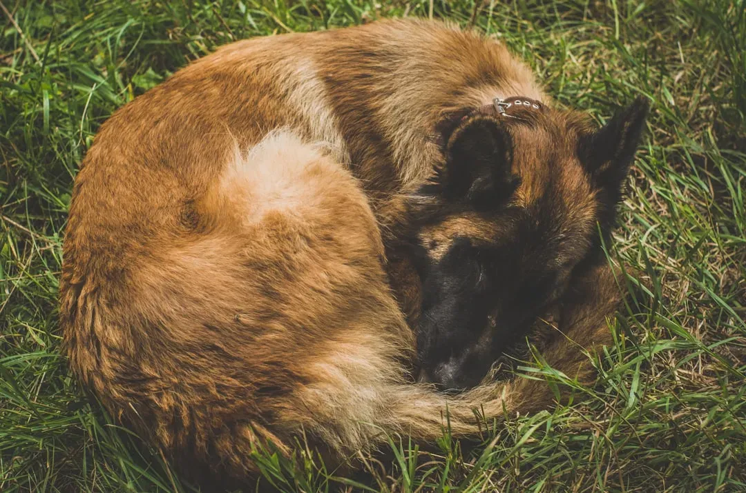 Scanning for Potential Threats (Image Credits: Unsplash)