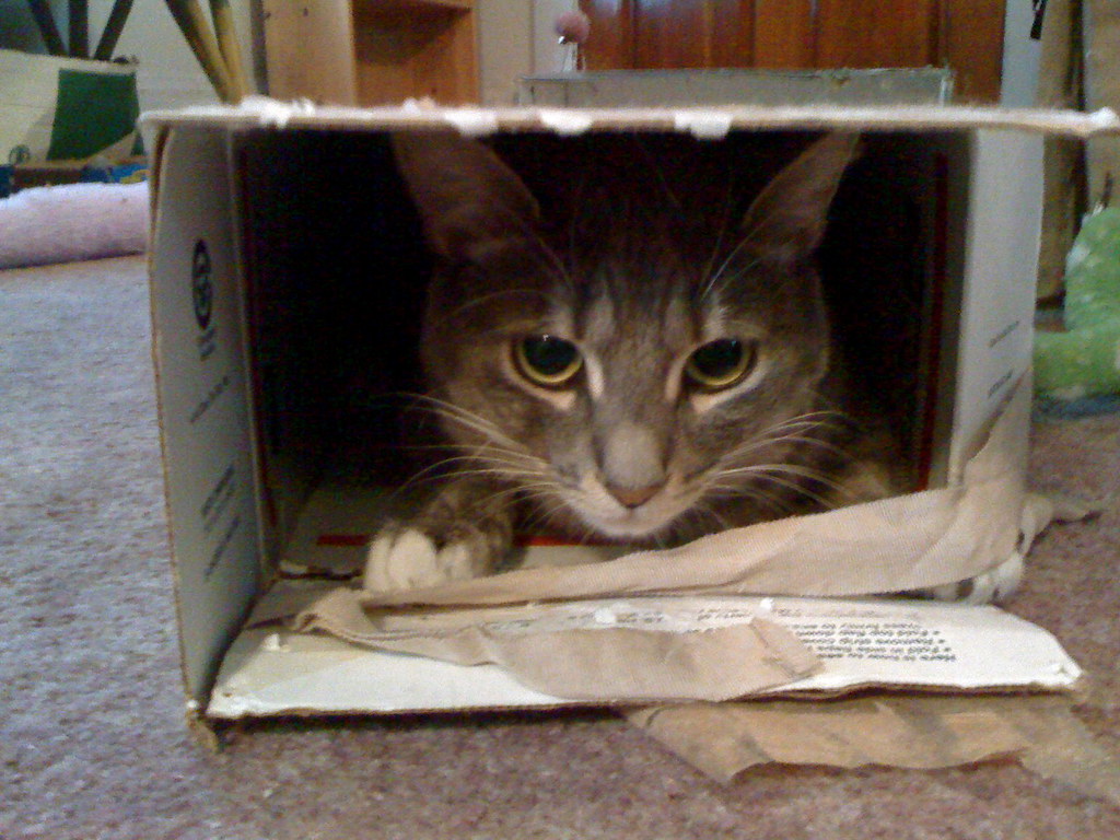 The Strategic Retreat: Hiding Away (Image Credits: Flickr)