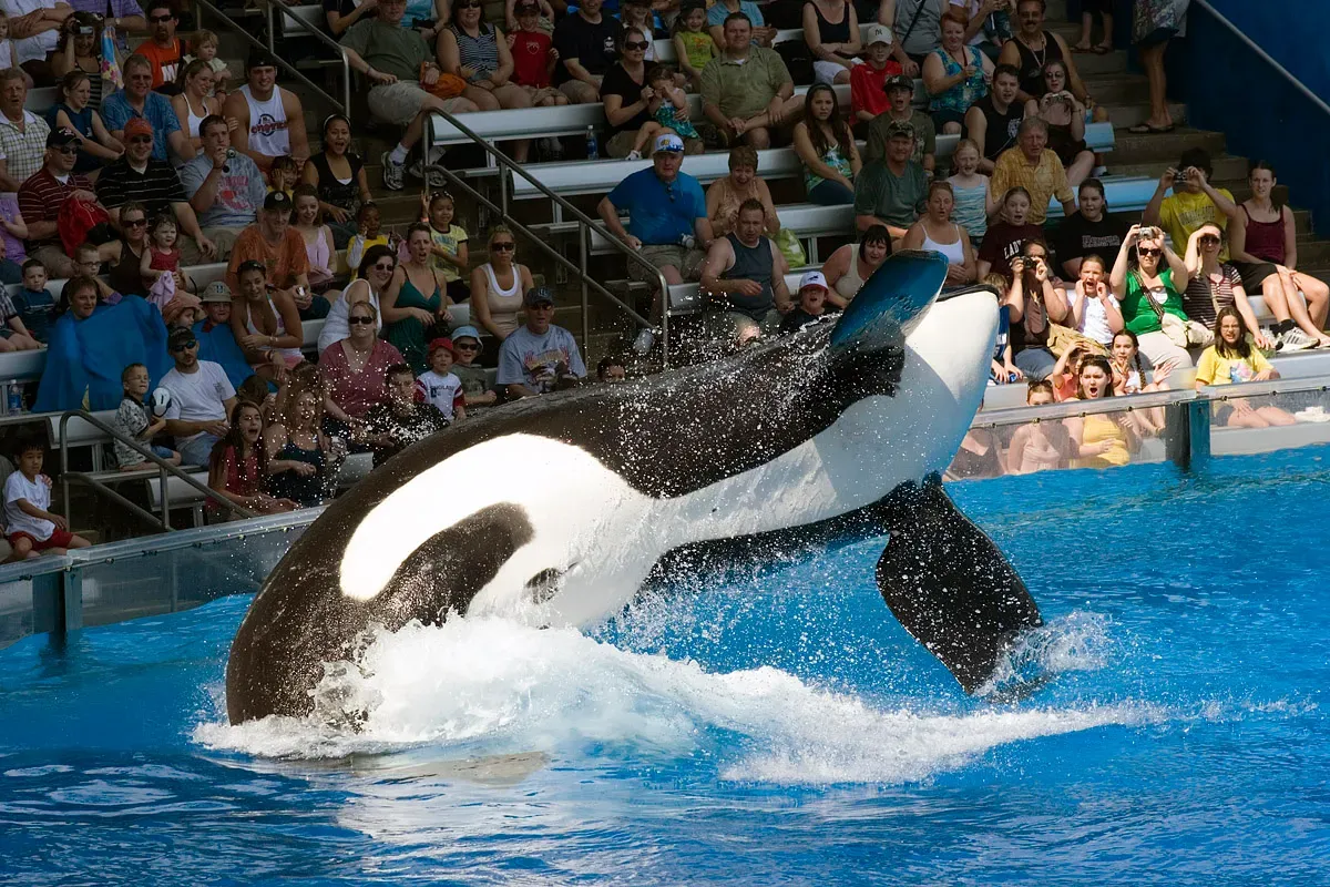 A Symbol of Shifting Attitudes (Image Credits: Wikimedia)