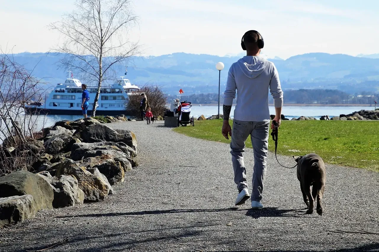 Conclusion: Is a One‑Person Dog Really Right for You? (Image Credits: Pixabay)