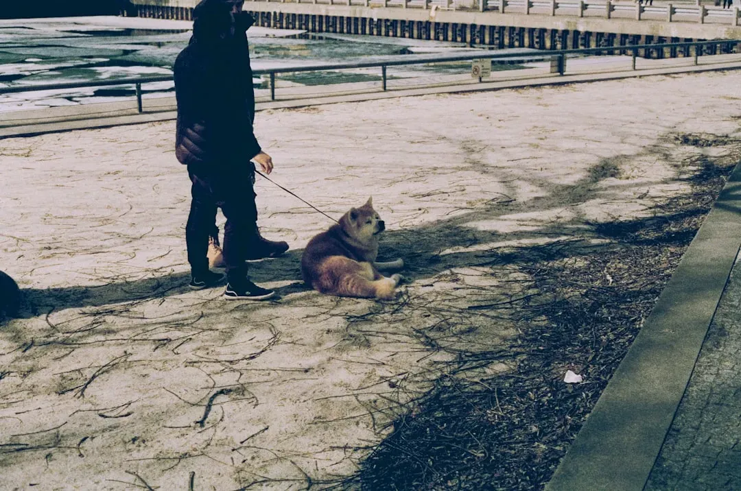 10. Skipping Structure and Routines in the Name of Freedom (Image Credits: Unsplash)