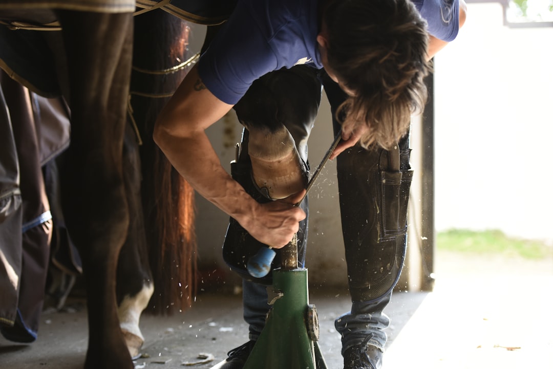 Understanding Hoof Care Basics (Image Credits: Unsplash)