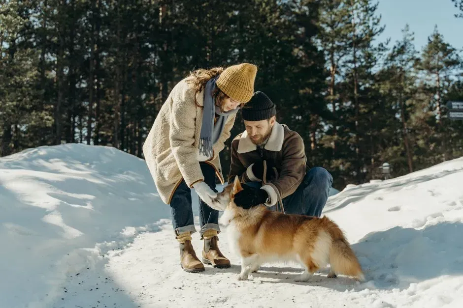 #10 - Trust Gets Built One Cold Morning at a Time (Image Credits: Pexels)