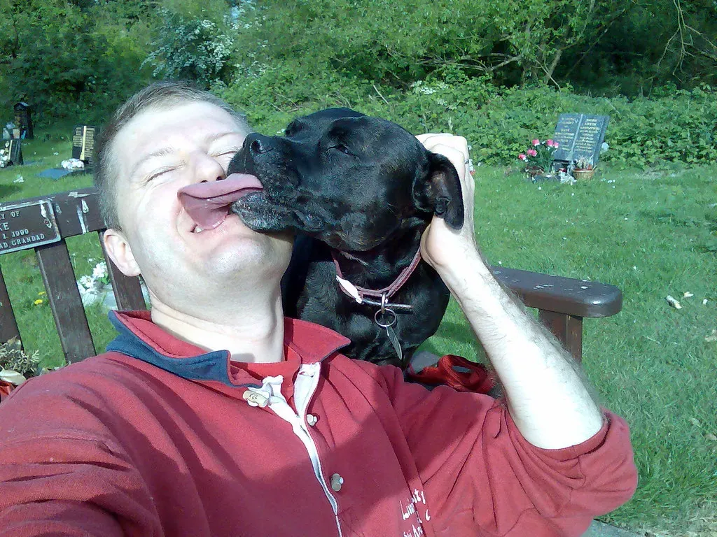 Conclusion (Image Credits: Flickr)