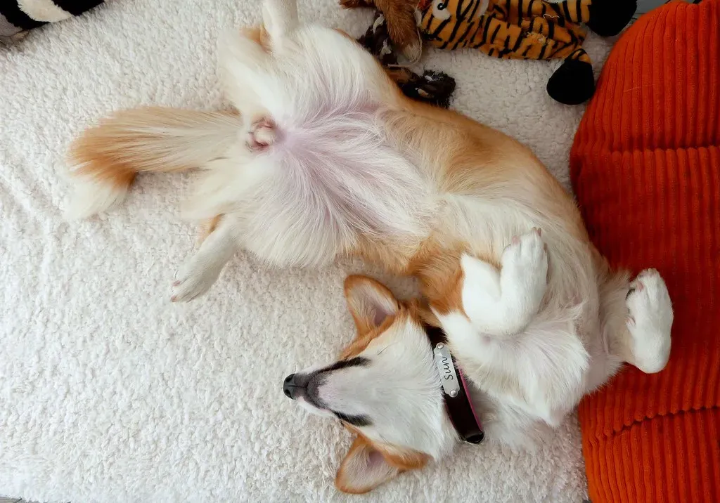 8. Relaxed Body Language (Image Credits: Flickr)