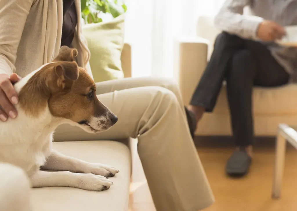 Treating Dogs Like Grandchildren: Why These Signs Lean That Way (Image Credits: Rawpixel)