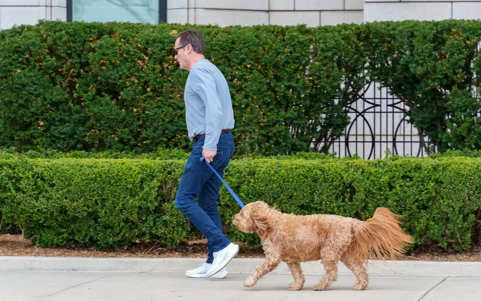 8. Physical Function Holds Up Longer (Image Credits: Pexels)